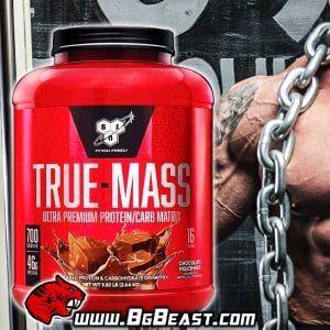 BSN True-Mass 2640 гр | BgBeast.com