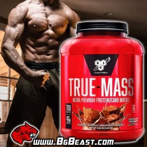 BSN True-Mass 2640 гр | BgBeast.com