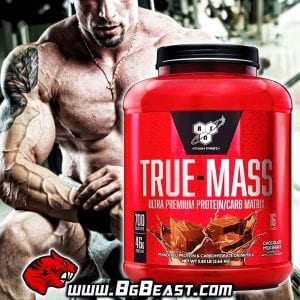 BSN True-Mass 2640 гр | BgBeast.com
