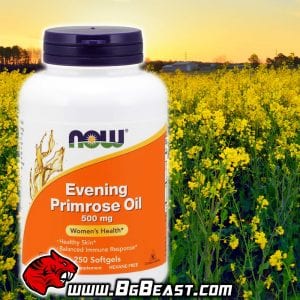 NOW Evening Primrose Oil 250 дражета | BgBeast.com