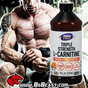 NOW L-Carnitine Triple Strength Liquid 3000 мг 473 мл | BgBeast.com