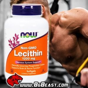 NOW Lecithin 1200 мг 100 дражета | BgBeast.com