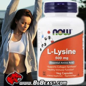 NOW Lysine 500 мг 250 капсули | BgBeast.com