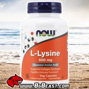NOW Lysine 500 мг 250 капсули | BgBeast.com