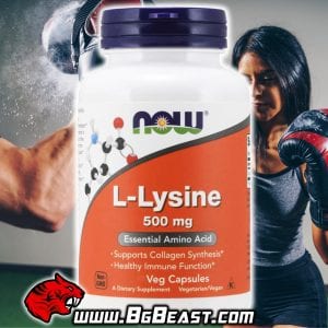 NOW Lysine 500 мг 250 капсули | BgBeast.com