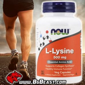 NOW Lysine 500 мг 250 капсули | BgBeast.com