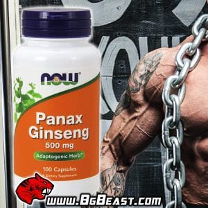 NOW Panax Ginseng 500 мг 100 капсули | BgBeast.com