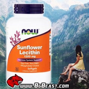 NOW Sunflower Lecithin 1200 мг 100 дражета | BgBeast.com