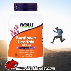 NOW Sunflower Lecithin 1200 мг 100 дражета | BgBeast.com