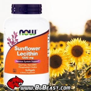 NOW Sunflower Lecithin 1200 мг 100 дражета | BgBeast.com