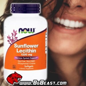 NOW Sunflower Lecithin 1200 мг 100 дражета | BgBeast.com