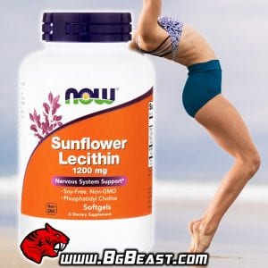NOW Sunflower Lecithin 1200 мг 100 дражета | BgBeast.com