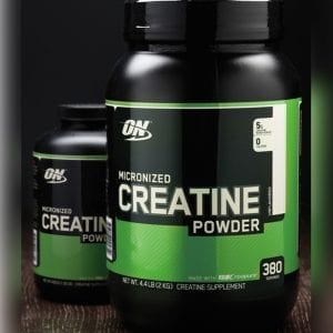 Optimum Nutrition Micronized Creatine 600 гр | BgBeast.com