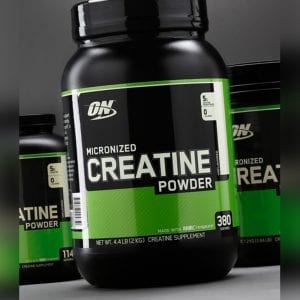 Optimum Nutrition Micronized Creatine 600 гр | BgBeast.com