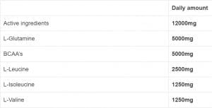 Biotech BCAA & Glutamine Zero 480 гр | BgBeast.com