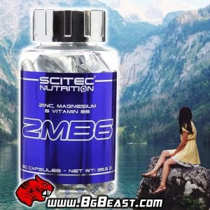 Scitec ZMB6 60 капсули | BgBeast.com