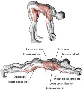 Колело за тренировка на корем Ab Wheel | BgBeast.com