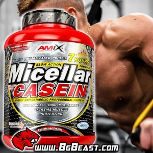 AMIX Micellar Casein 1000 гр | BgBeast.com