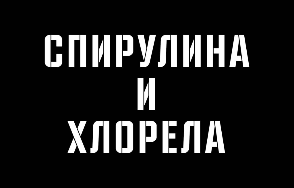 5 ползи от добавянето на спирулина и хлорела към диетата ви